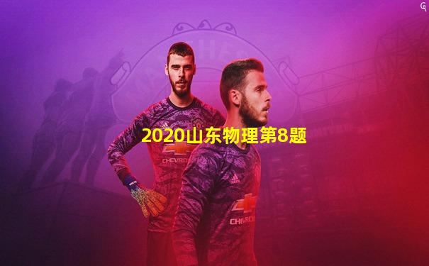 2020山东物理第8题