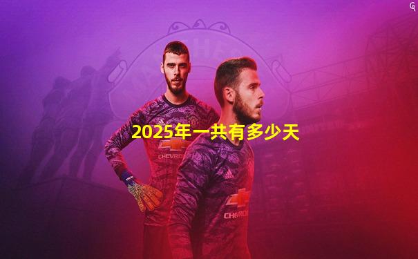 2025年一共有多少天