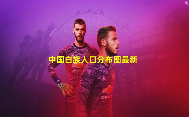 中国白族人口分布图最新