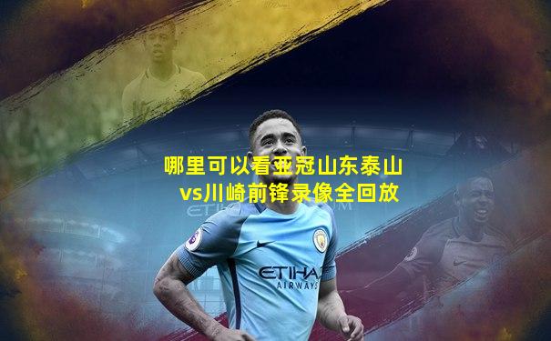 哪里可以看亚冠山东泰山vs川崎前锋录像全回放