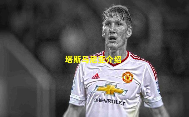 塔斯马尼亚介绍