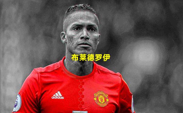 布莱德罗伊