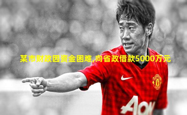 某市财政因资金困难,向省政借款5000万元
