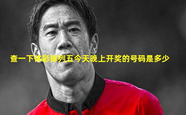 查一下体彩排列五今天晚上开奖的号码是多少