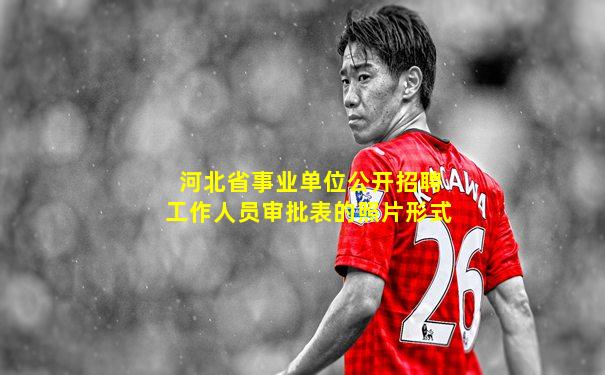 河北省事业单位公开招聘工作人员审批表的照片形式