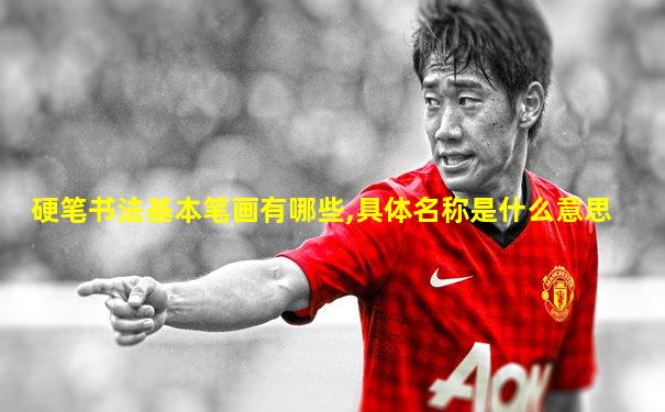 硬笔书法基本笔画有哪些,具体名称是什么意思