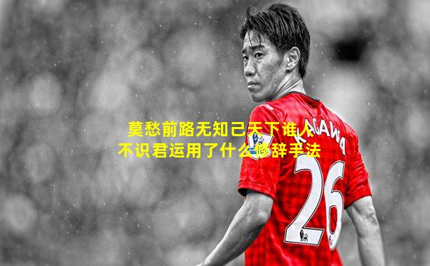 莫愁前路无知己天下谁人不识君运用了什么修辞手法