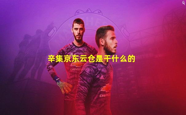 辛集京东云仓是干什么的