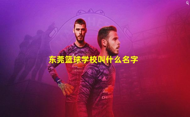 东莞篮球学校叫什么名字