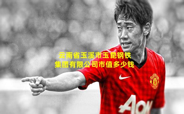 云南省玉溪市玉昆钢铁集团有限公司市值多少钱