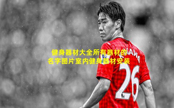 健身器材大全所有器材的名字图片室内健身器材安装