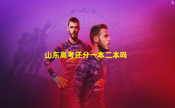 山东高考还分一本二本吗