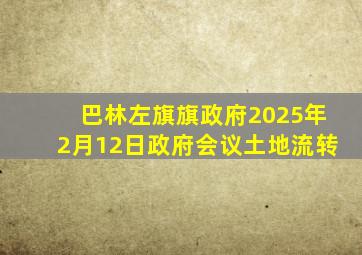 巴林左旗旗政府2025年2月12日政府会议土地流转