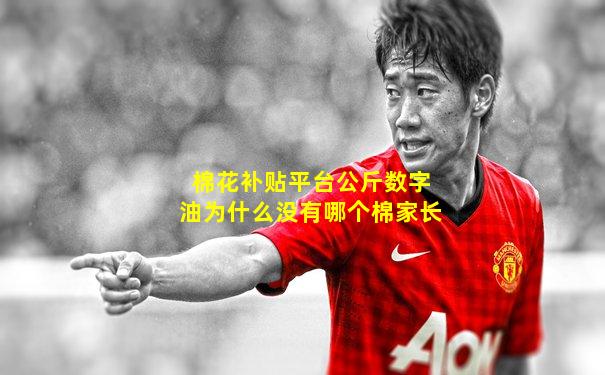 棉花补贴平台公斤数字油为什么没有哪个棉家长