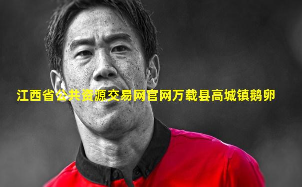 江西省公共资源交易网官网万载县高城镇鹅卵