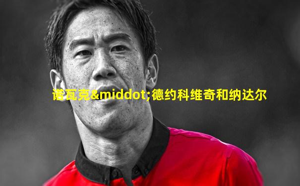 诺瓦克·德约科维奇和纳达尔
