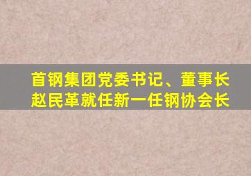首钢集团党委书记、董事长赵民革就任新一任钢协会长